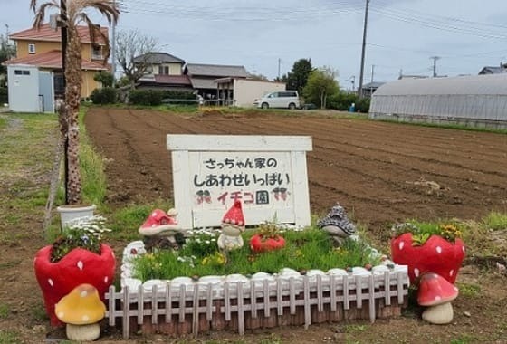 三年目の本気（デイサービス）