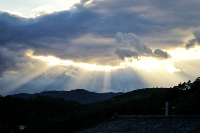 降臨 Who’s next（デイサービス）