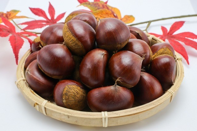 栗といつまでも