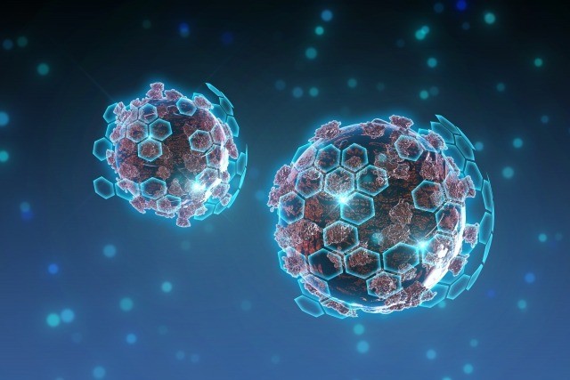 おしらせ（本格派）