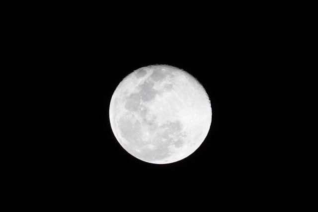 2025 最後の夜に……