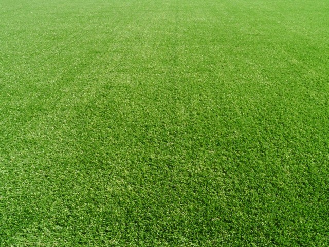 ギリギリベンジ