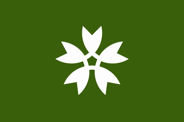 岩国慕情、曰く事情