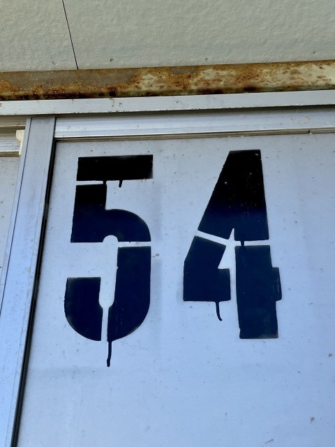 おおむね54
