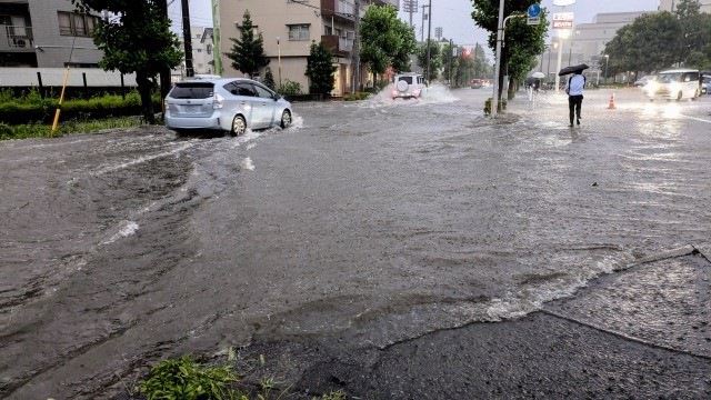 淋しい雨